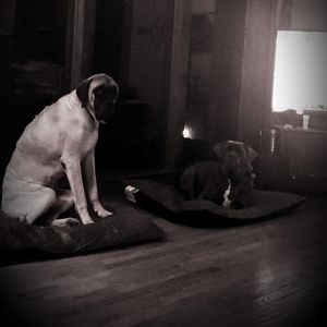 Meet your Posher, Marcy